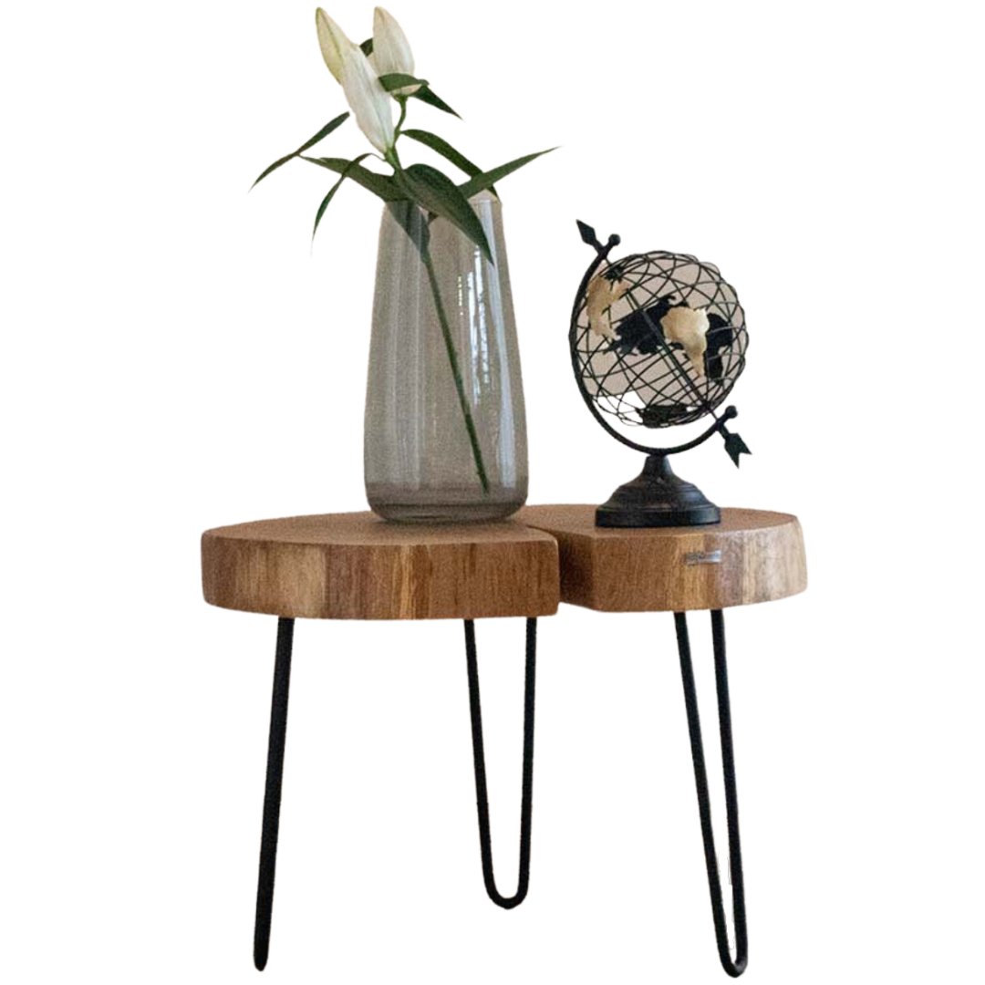 H4H269 - Couchtisch Baumscheibe